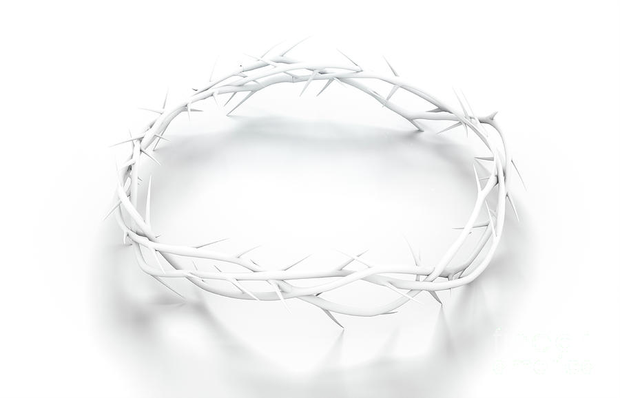 Crown Of Thorns Digital Art by Allan Swart - Pixels