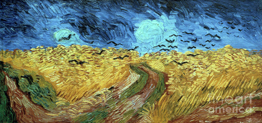 Crows Over Wheatfield, 1890. Artist Drawing by Print Collector