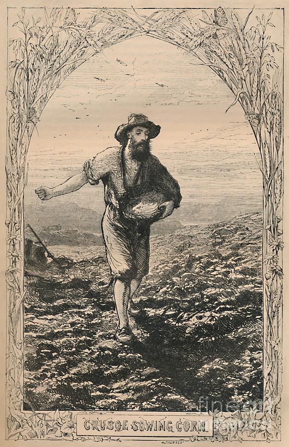 Crusoe Sowing Corn Drawing by Print Collector