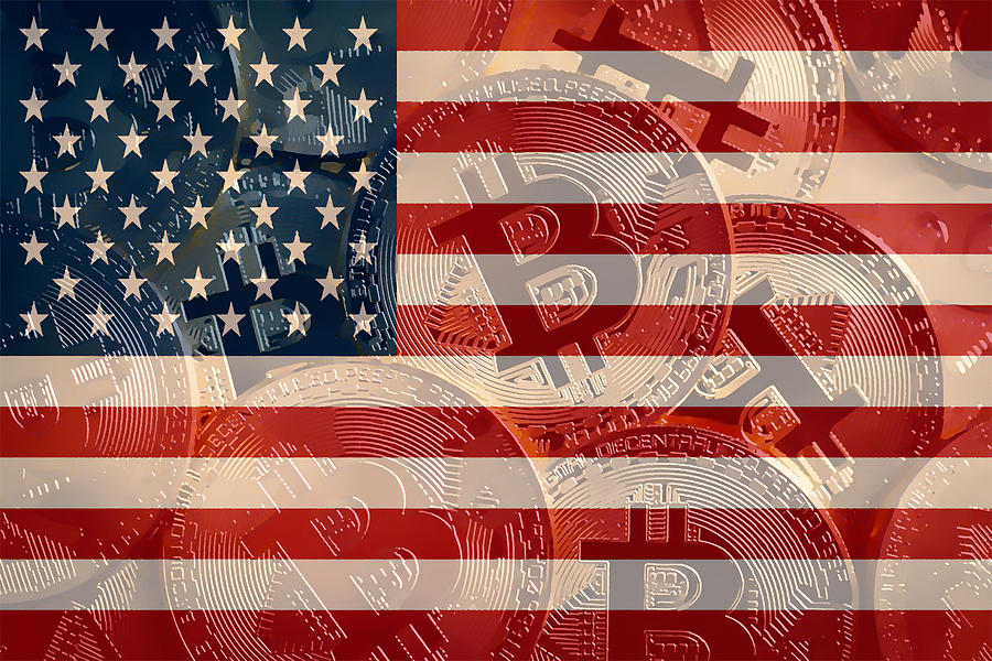 Flag Painting - Cryptocurrency - Bitcoin by Jeelan Clark