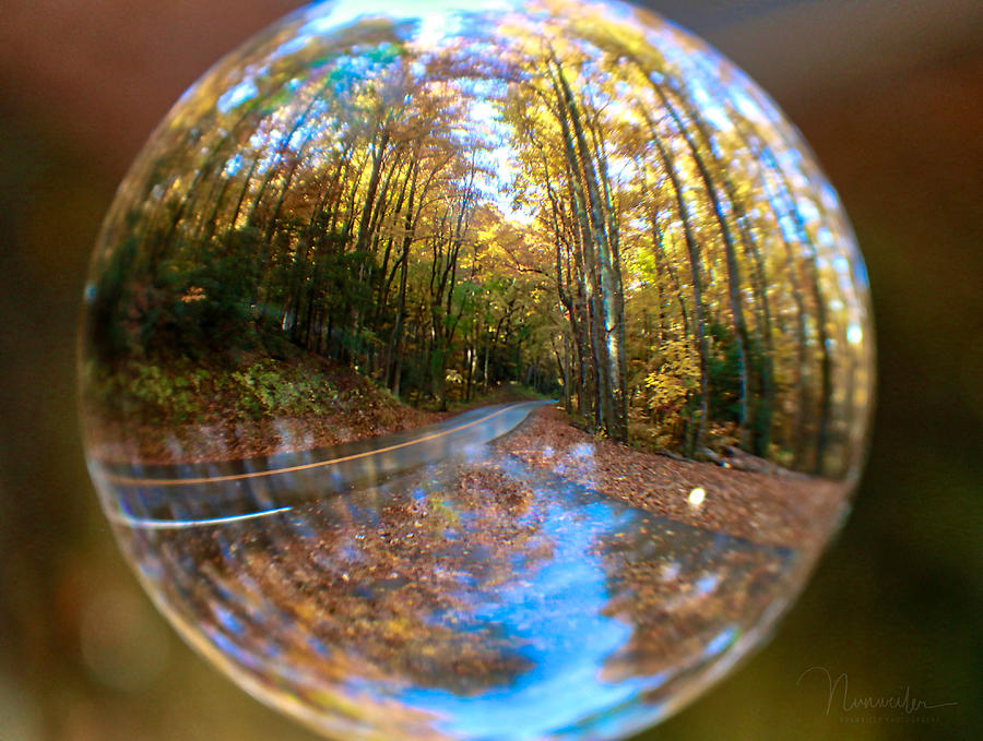 Crystal Ball Forest Photograph by Nunweiler Photography