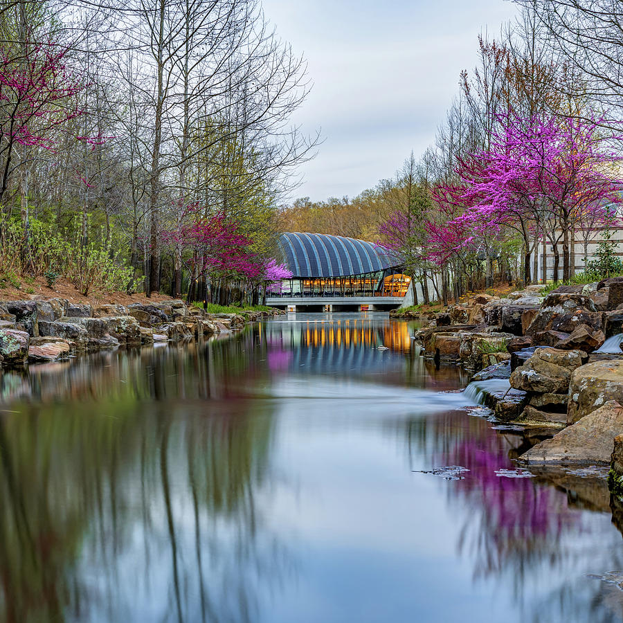 Spring Colors Photograph - Crystal Bridges Museum River Trail with Redbud Trees 1x1 by Gregory Ballos