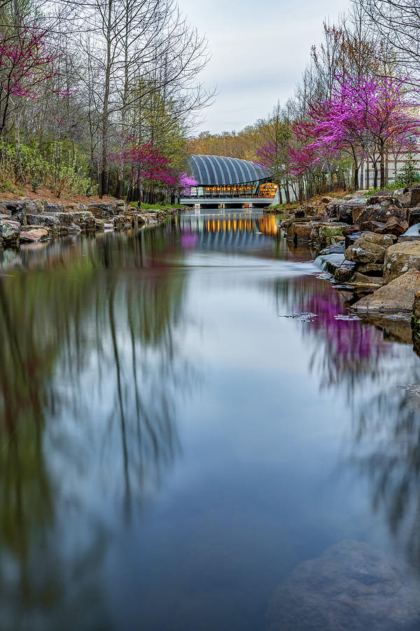 Spring Colors Photograph - Crystal Bridges Museum River Trail with Redbud Trees by Gregory Ballos