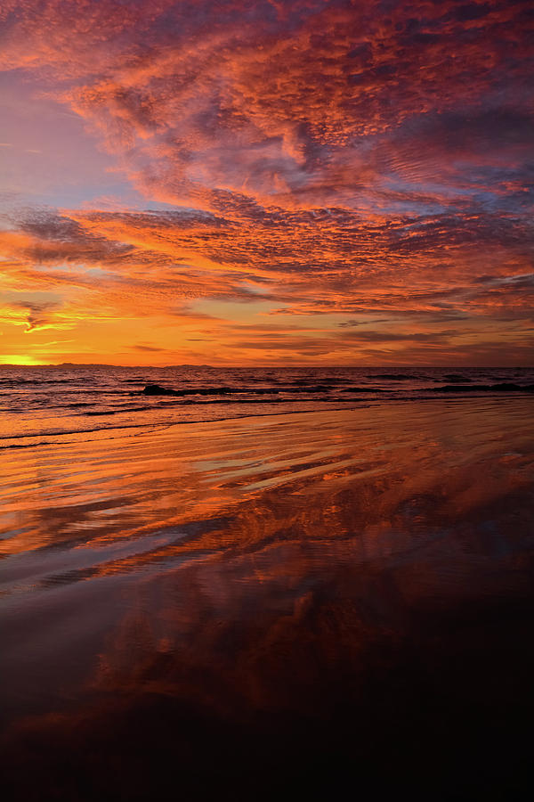 Crystal Cove Portrait Photograph by Kyle Hanson - Pixels