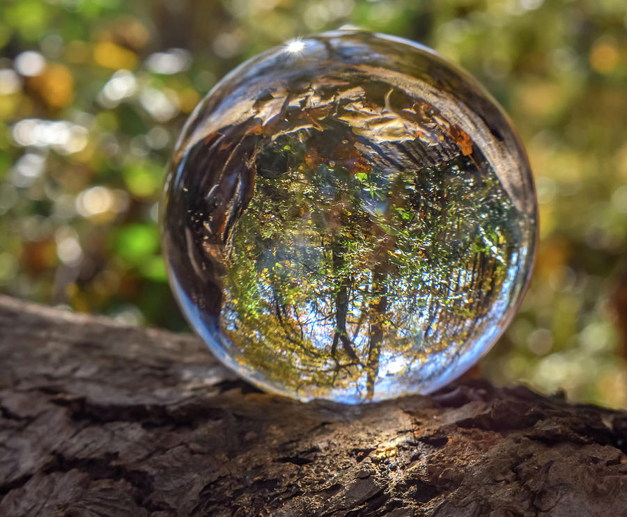 Crystal Fall Photograph by Barbara Terwilliger - Fine Art America