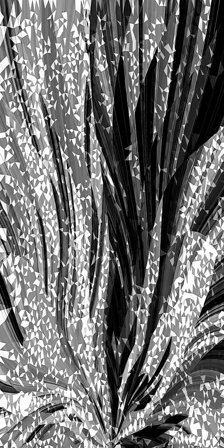 Black Digital Art - Crystal Floral Black Opposite by David Manlove