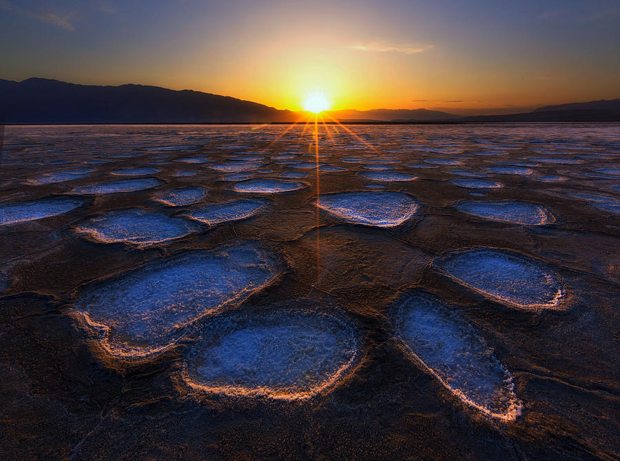 Sunset Photograph - Crystal Flower In Death Valley by Dianne Mao