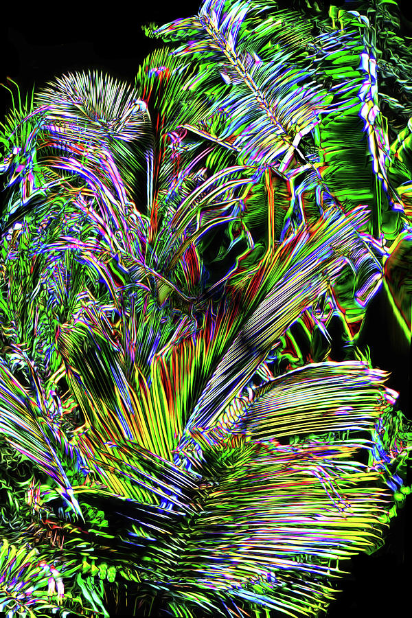 Crystal Forest 2 Digital Art by Lisa Yount