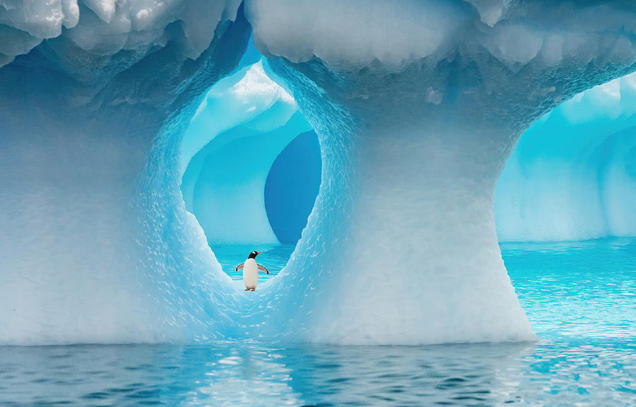 Ice Photograph - Crystal Palace by Jimmy Yang