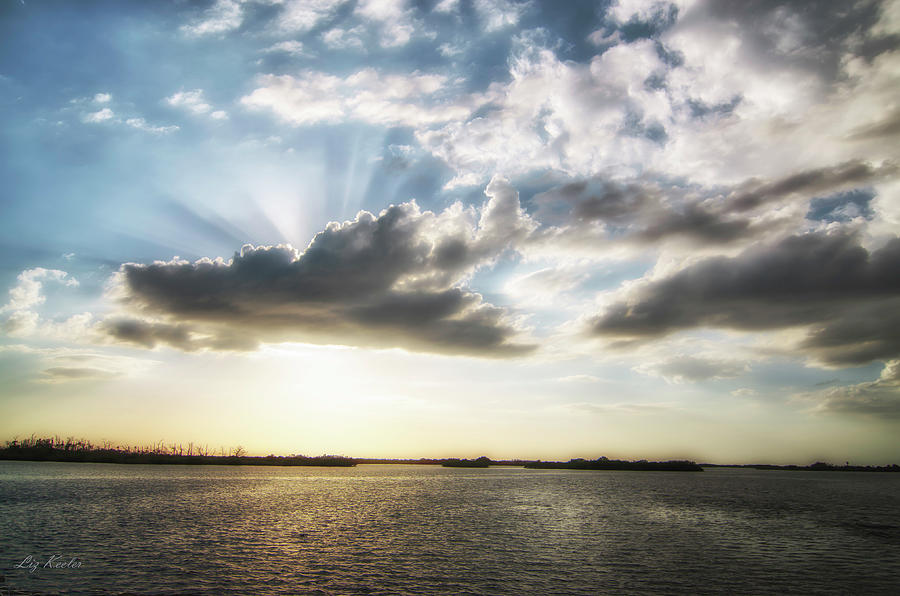 Crystal River Landscape 30 by Liz Keeler Crystal River Landscape 30 by Liz Keeler