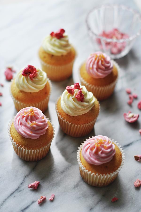 Crystallized Rose Petal Cupcakes Photograph by Steve_ho