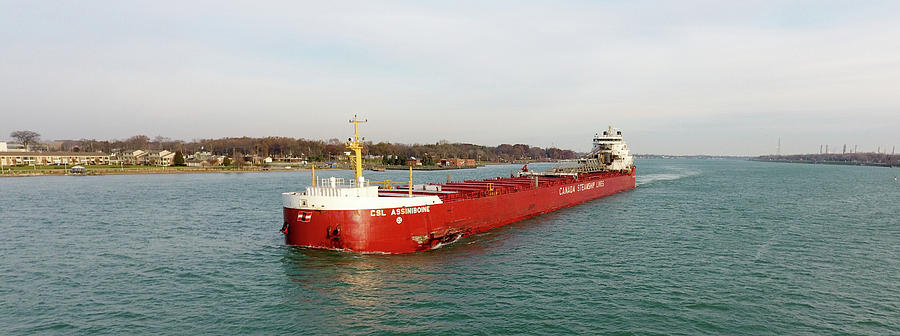 CSL Assiniboine Downbound at Marysville Photograph by Gales Of November