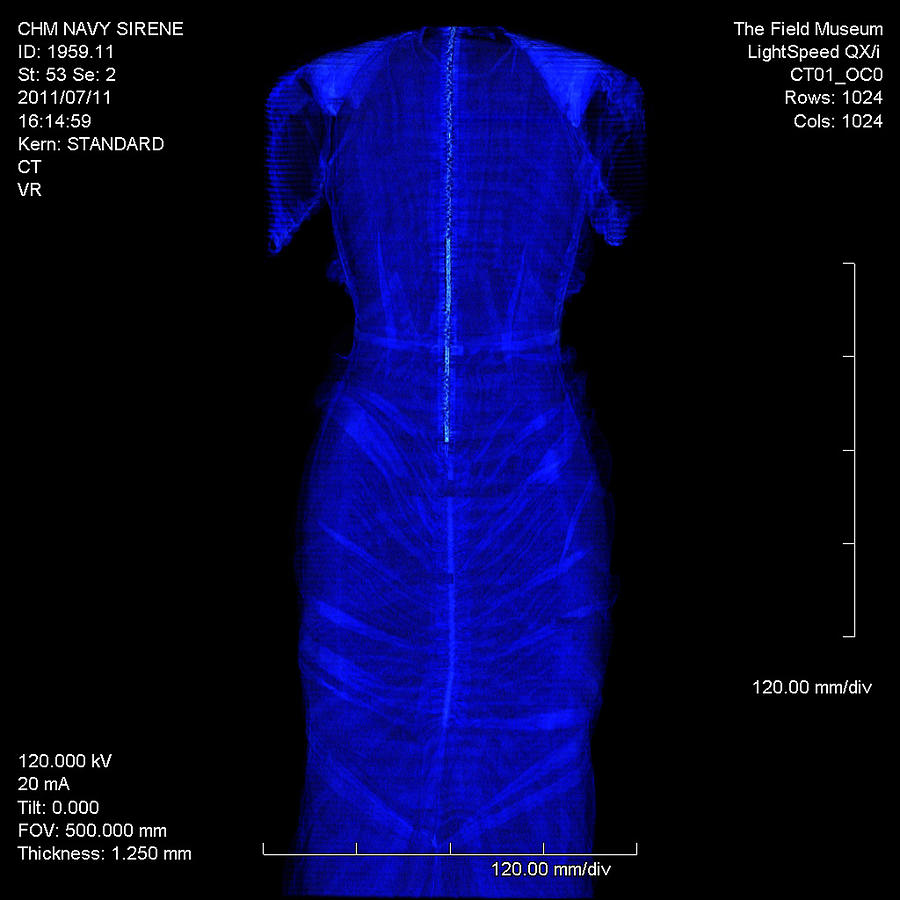 Ct Scan Of La Sirene Evening Dress Photograph by Chicago History Museum