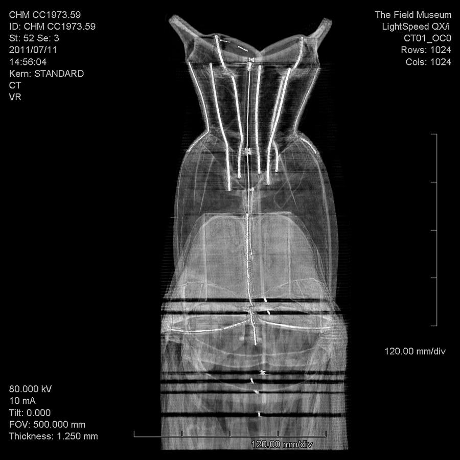 Ct Scan Of Tree Evening Dress Photograph by Chicago History Museum