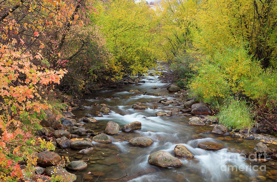 Cub River Autumn Photograph by Idaho Scenic Images Linda Lantzy