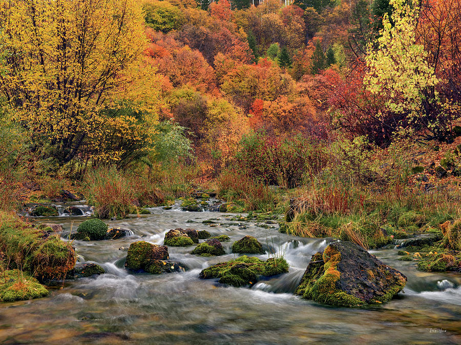 Cub River Autumn Photograph by Leland D Howard