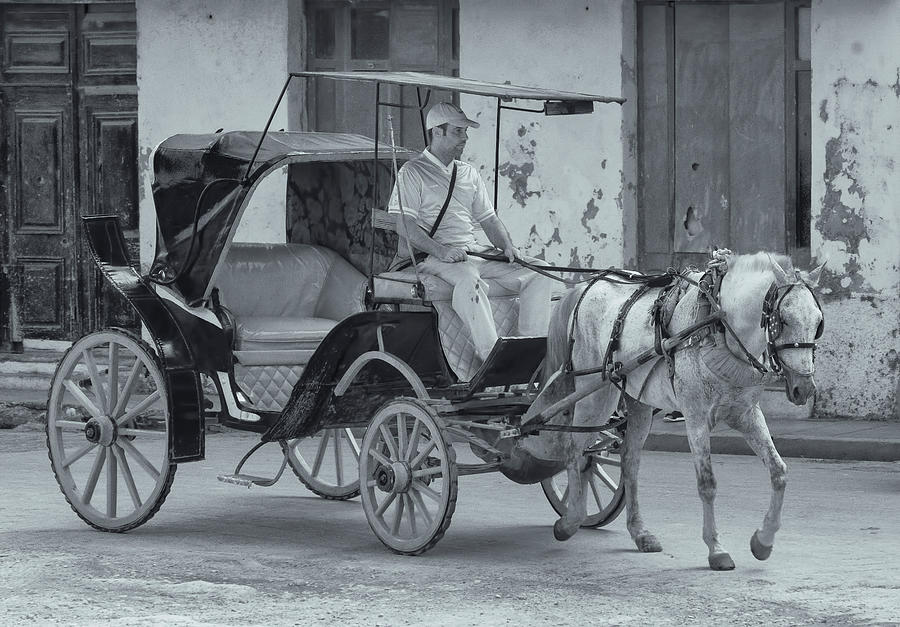 Cuban Horse Taxi Photograph by Tom Singleton