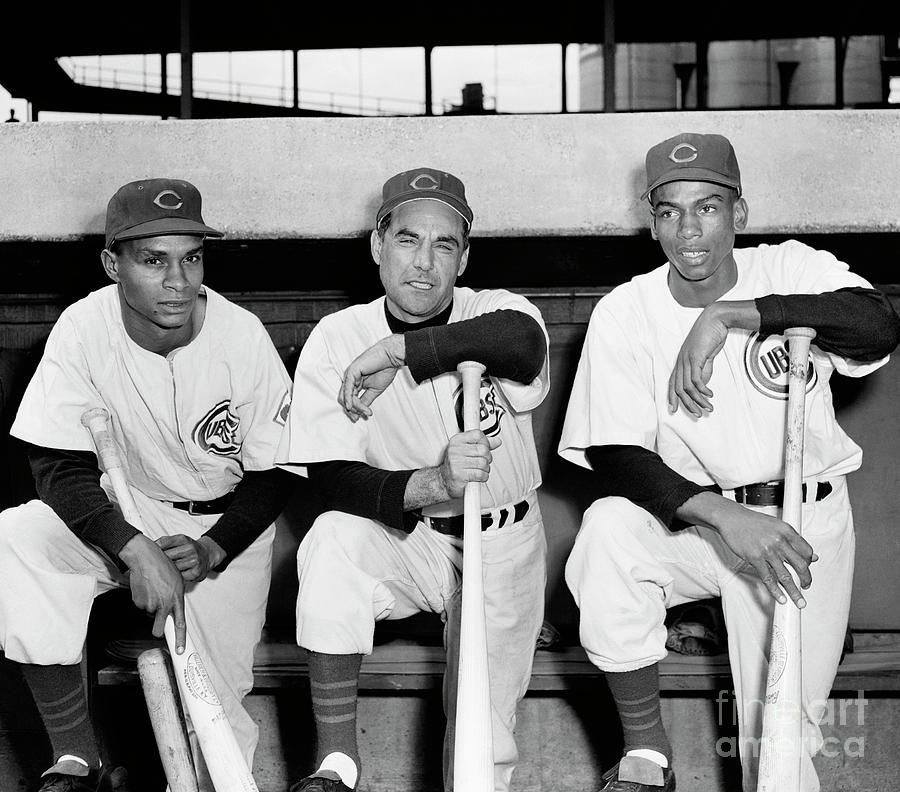 Ernie Banks Photograph - Cubs Manager Posing With Two Players by Bettmann
