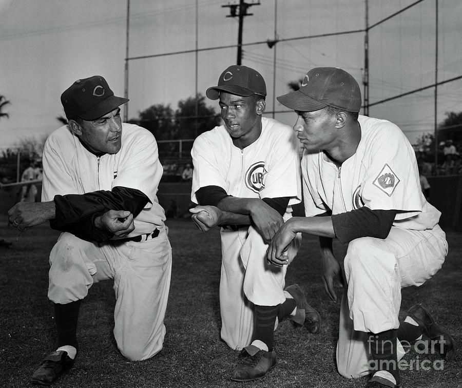 Cubs Manager Talking With Players Photograph by Bettmann