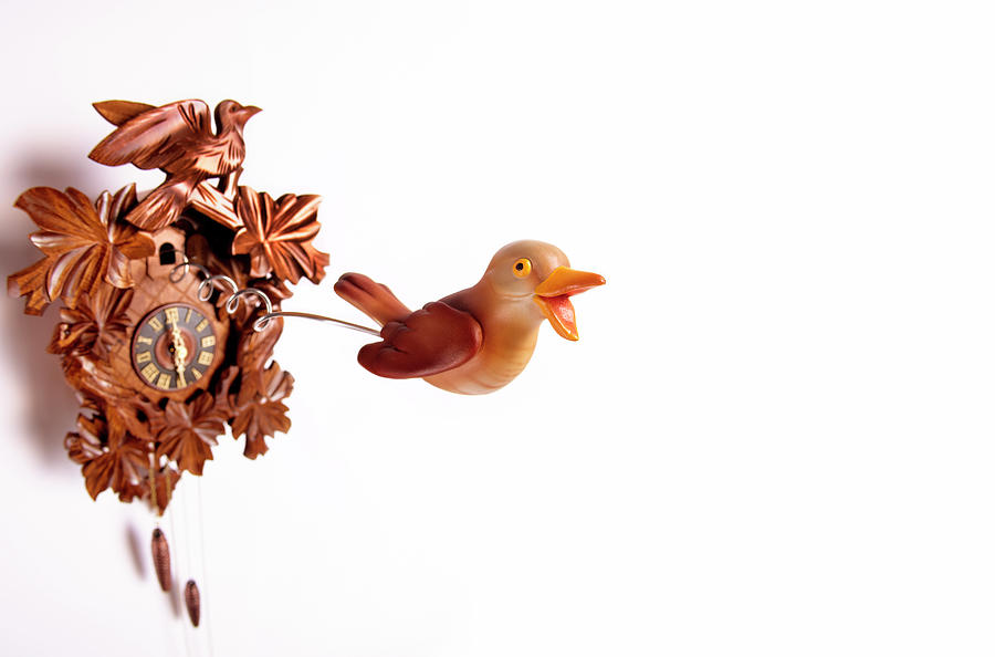 Cuckoo Coming Out Of Cuckoo Clock With Photograph by Peter Dazeley
