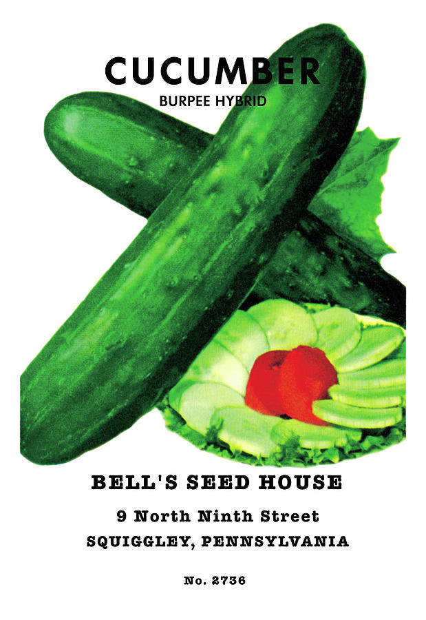 Cucumber Burpee Hybrid Painting by Unknown Fine Art America