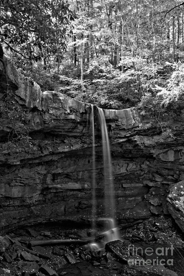 Cucumber Falls Autumn Canopy Black And White Photograph by Adam Jewell