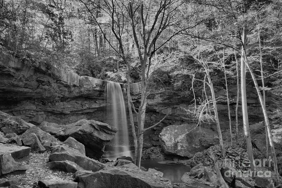 Cucumber Falls Golden Canyon Black And White Photograph by Adam Jewell