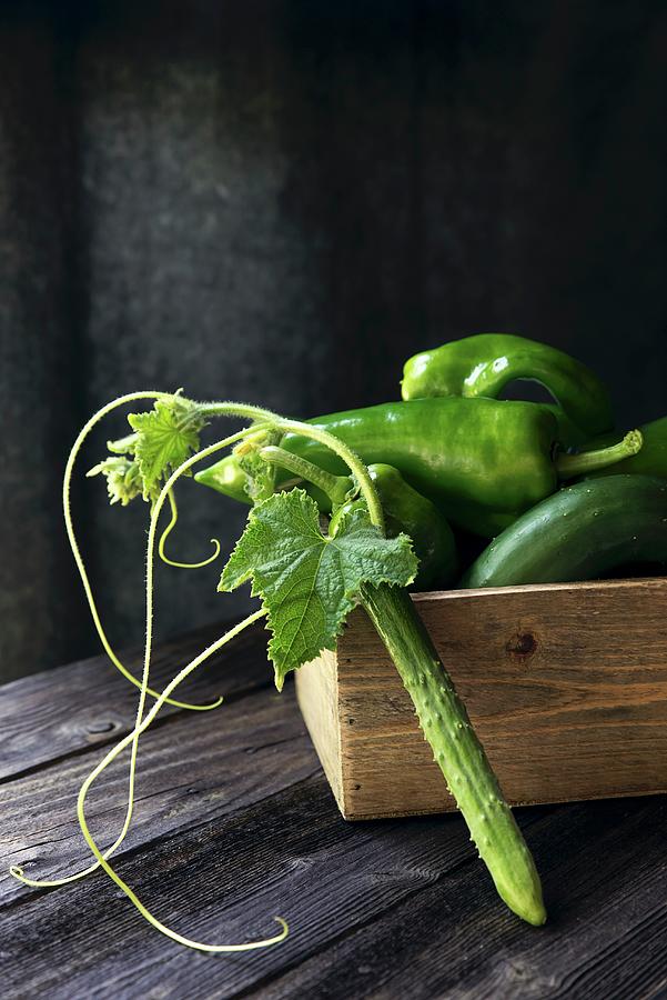 Cucumbers And Chillies Photograph by Galya Ivanova