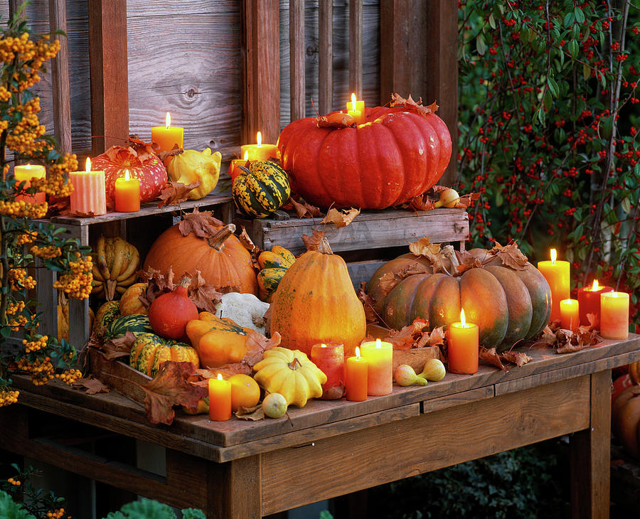 Cucurbita edible And Decorative Pumpkins With Candles Photograph by Friedrich Strauss
