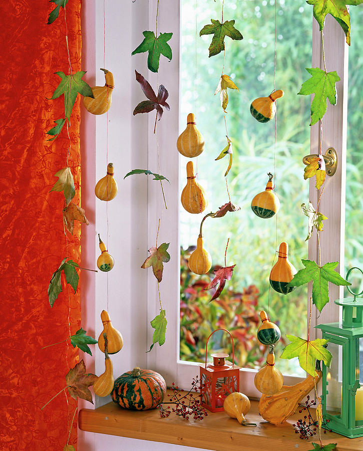 Pumpkin Photograph - Cucurbita, Liquidambar On Wire As Window Decoration by Friedrich Strauss