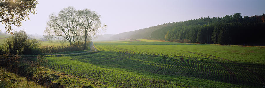 Cultivated Field On A Landscape Photograph by Panoramic Images