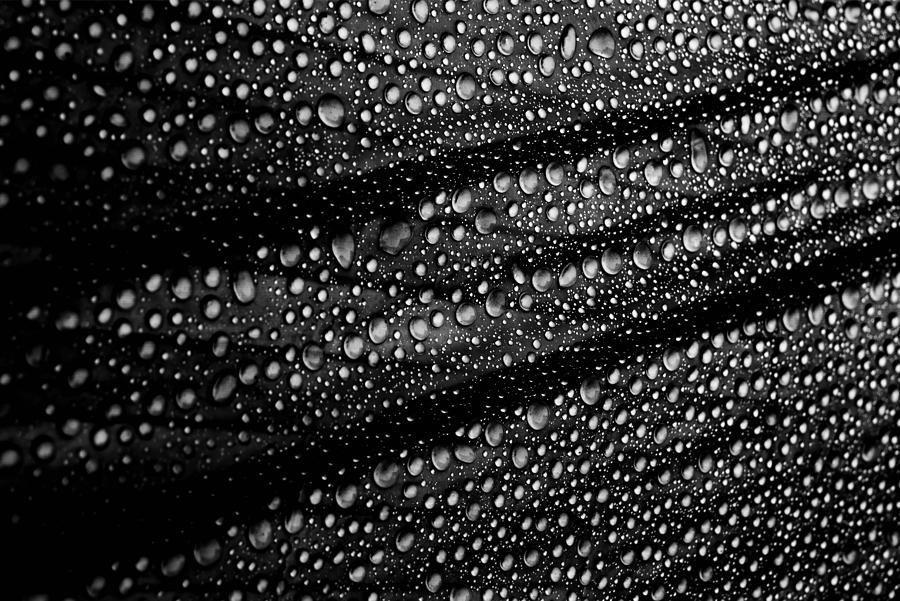 Cultured Rain Pearls Photograph by Simon Ciappara Lrps.