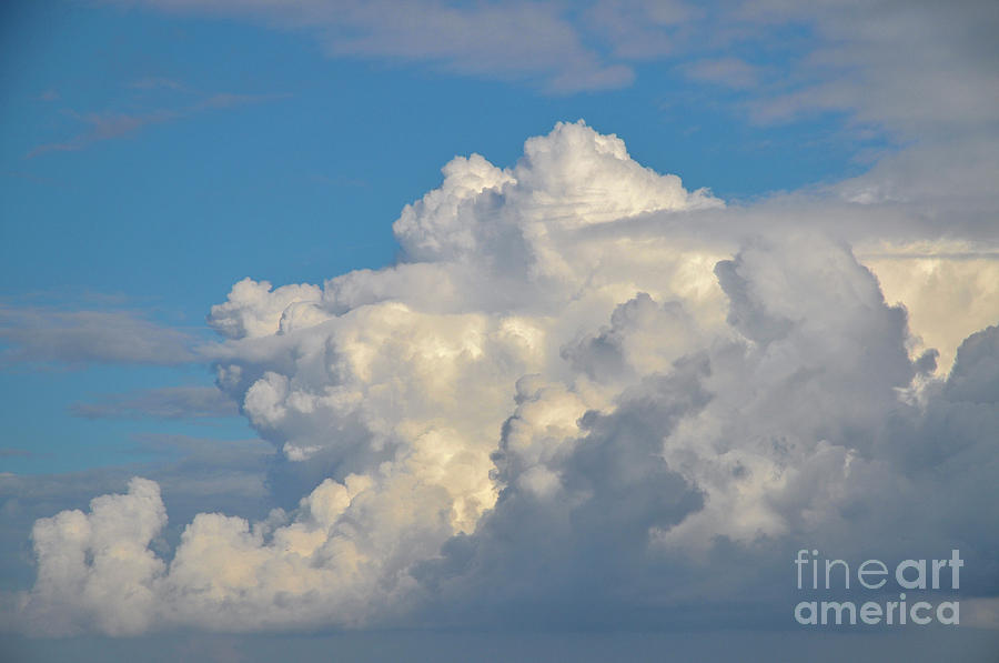 Cumulus cloud h3 Photograph by Shay Levy