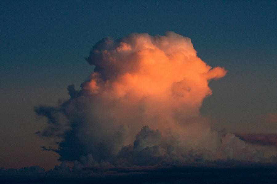 Cumulus Cloud In Evening Light Photograph by David Hosking
