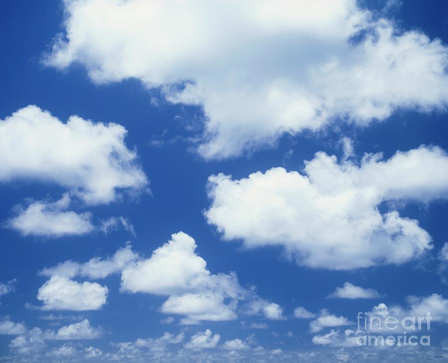 Cumulus Clouds Against A Blue Sky Photograph by John Mead/science Photo Library