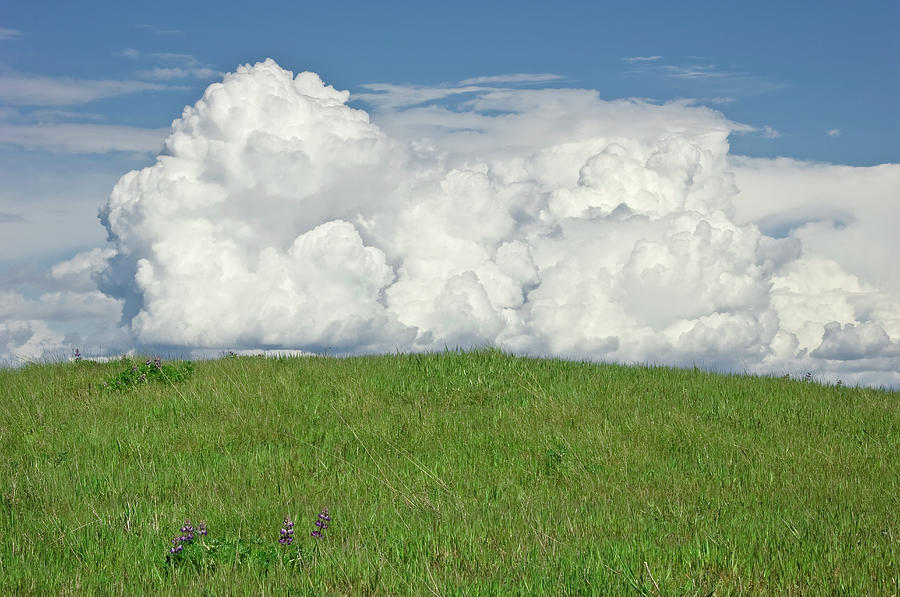 Cumulus Clouds And Green Hill Photograph by Russell Illig