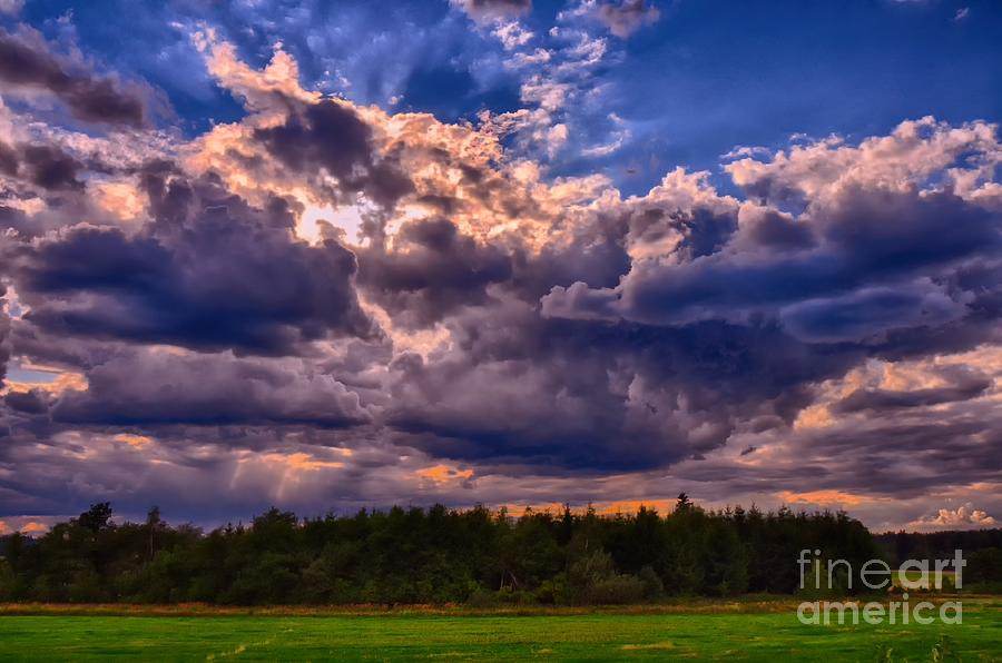 Cumulus clouds at summer daylight above green meadow typical for summer ...