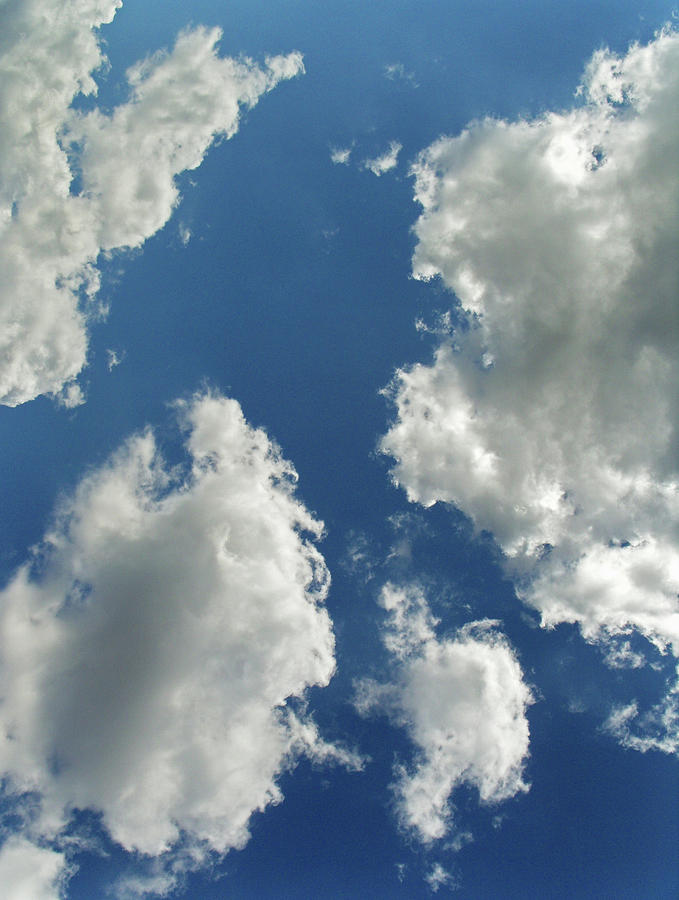 Cumulus Clouds Photograph by Richard Newstead