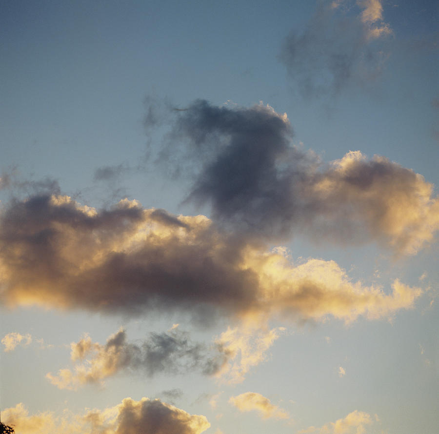 Cumulus Clouds, View From Below Photograph by Kim Steele