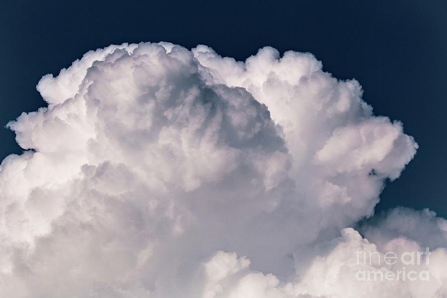 Spring Photograph - Cumulus Congestus Cloud by Stephen Burt/science Photo Library