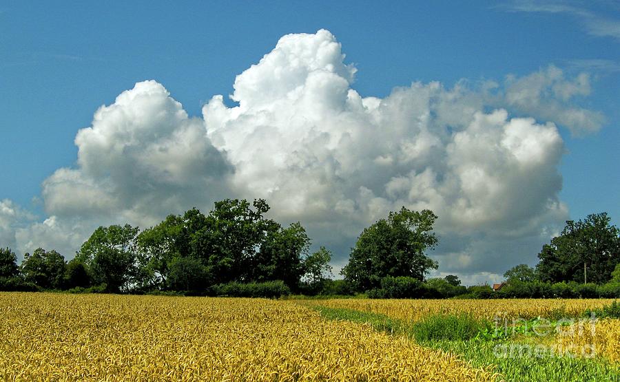 Summer Photograph - Cumulus Congestus Clouds Over A Field by Stephen Burt/science Photo Library