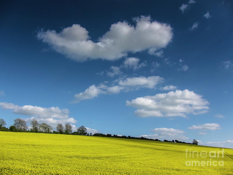 Cumulus Humilis Clouds In Spring Photograph By Stephen Burtscience