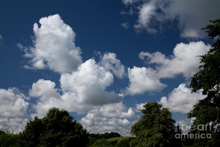 Cumulus Humilis Clouds In Summer Photograph By Stephen Burtscience