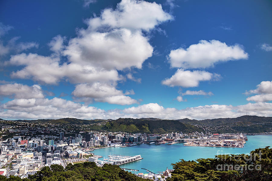 Spring Photograph - Cumulus Humilis Clouds Over Wellington by Stephen Burt/science Photo Library