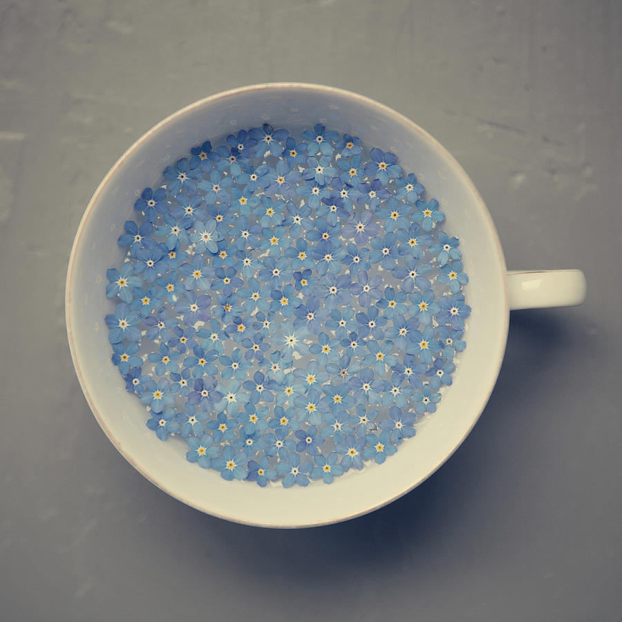 Flowers Still Life Photograph - Cup Of Forget Me Not by Paula Daniëlse