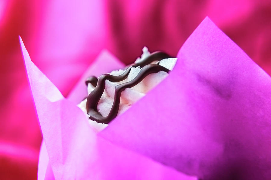 Cupcake With Chocolate Drizzle and Pink Wrapper by Jeanette Fellows Cupcake With Chocolate Drizzle and Pink Wrapper by Jeanette Fellows