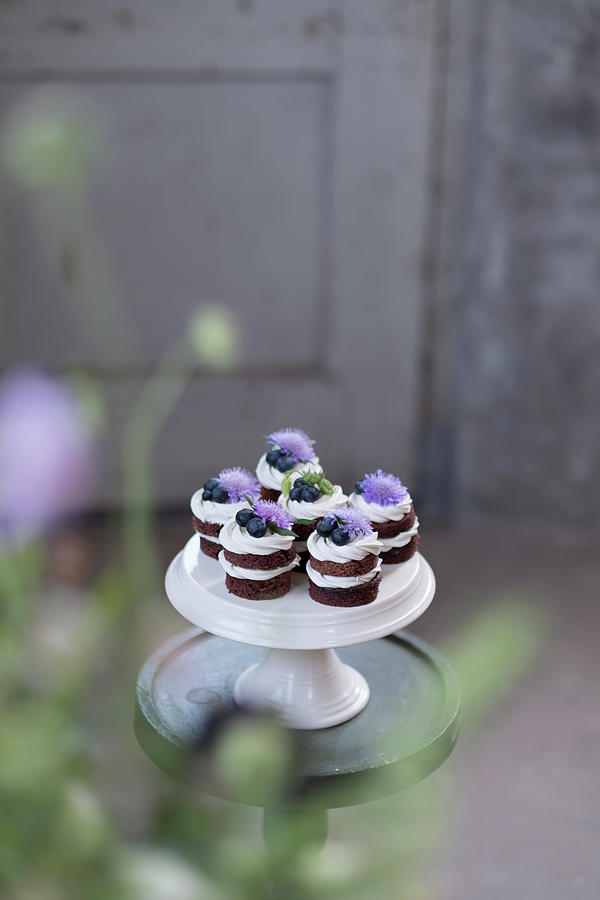 Cupcakes From Chocolatecake With Purple Flowers On A White Standard Photograph by Lucie Beck