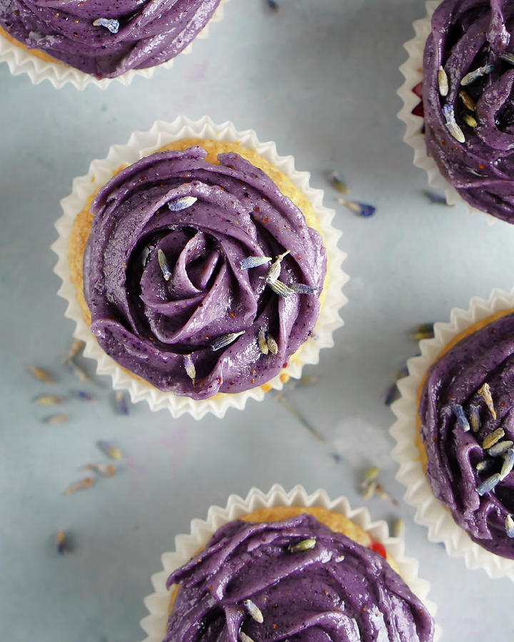 Cupcakes With Blueberry Frosting Photograph by Paulina Sauer