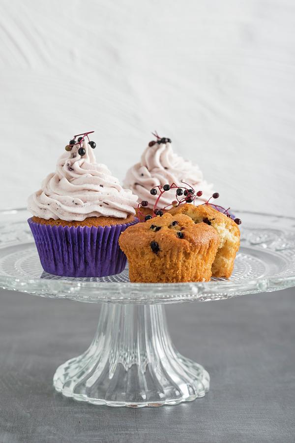 Cupcakes With Elderberries With Elderberry Cream Photograph by Mandy Reschke