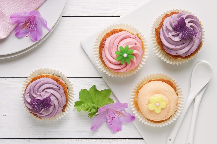Cupcakes With Pastel Icing Photograph by Vedder, Catja